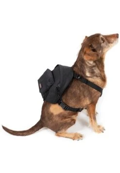 Eastpak Dog Pak'R - Accessoires Animaux - Black